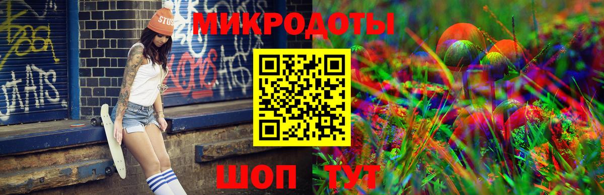 Галлюциногенные грибы Psilocybe Вязники