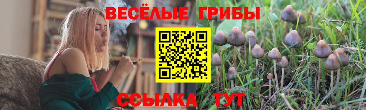 Галлюциногенные грибы GOLDEN TEACHER  Вход с VPN  Вязники 